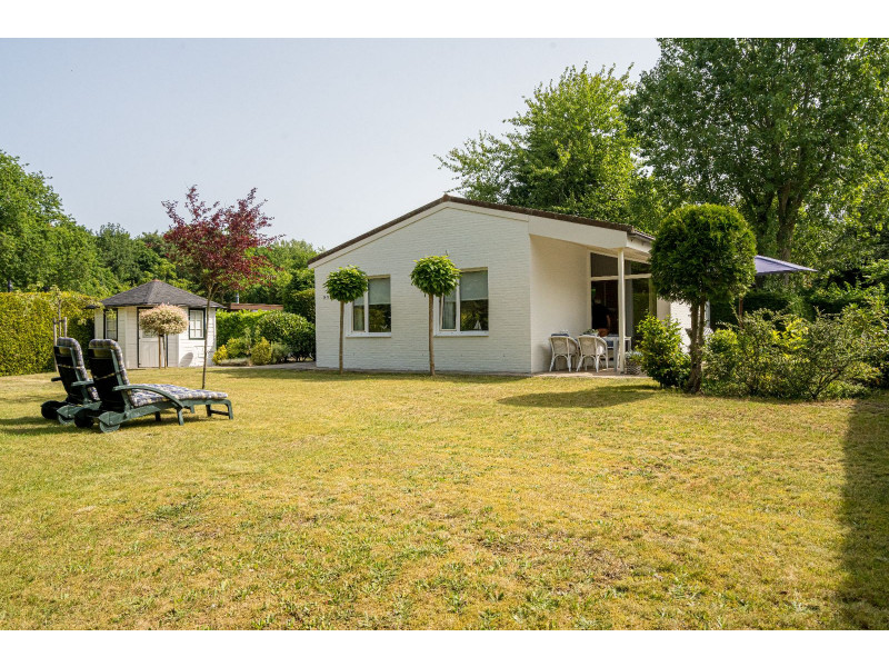 Renesse, De Scholekster - Image 1