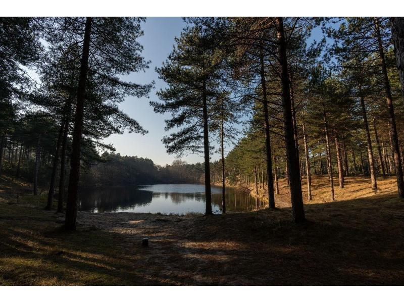 Burgh-Haamstede, Schouwse Duin 16 - Image 25