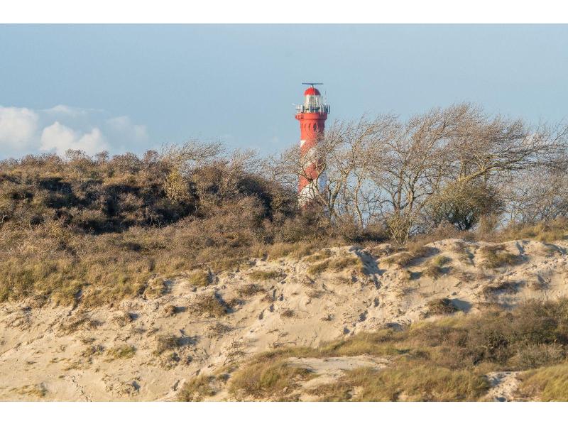Westenschouwen, Zon - Image 17