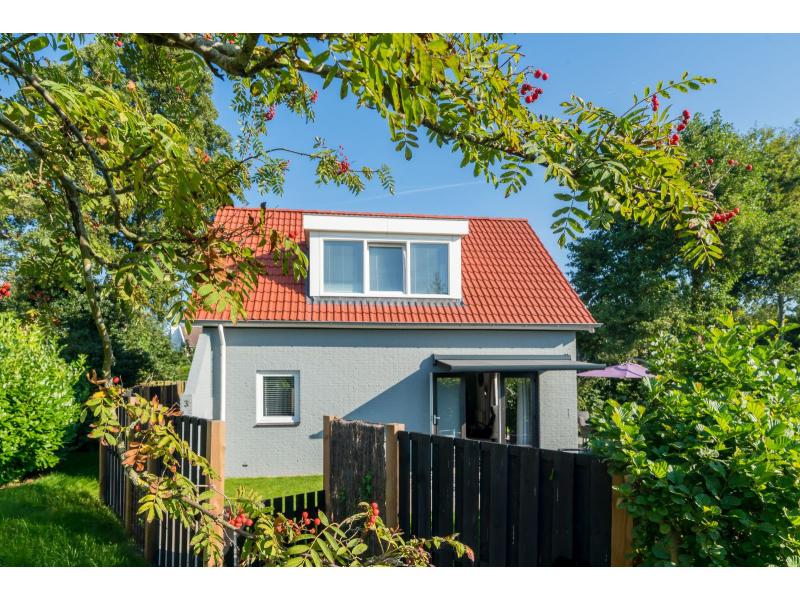 Burgh-Haamstede, Paardenbos 3 - Image 18