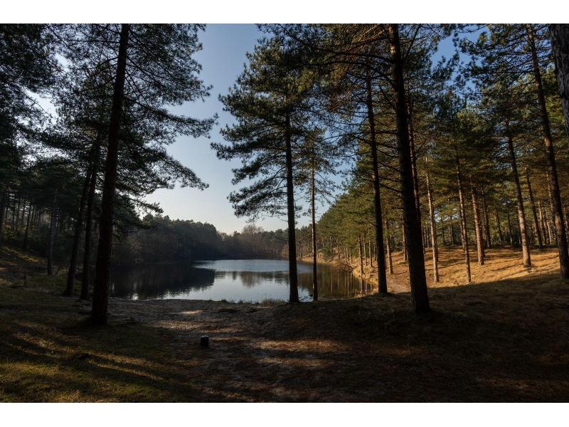 Westenschouwen, Zon - Image 19
