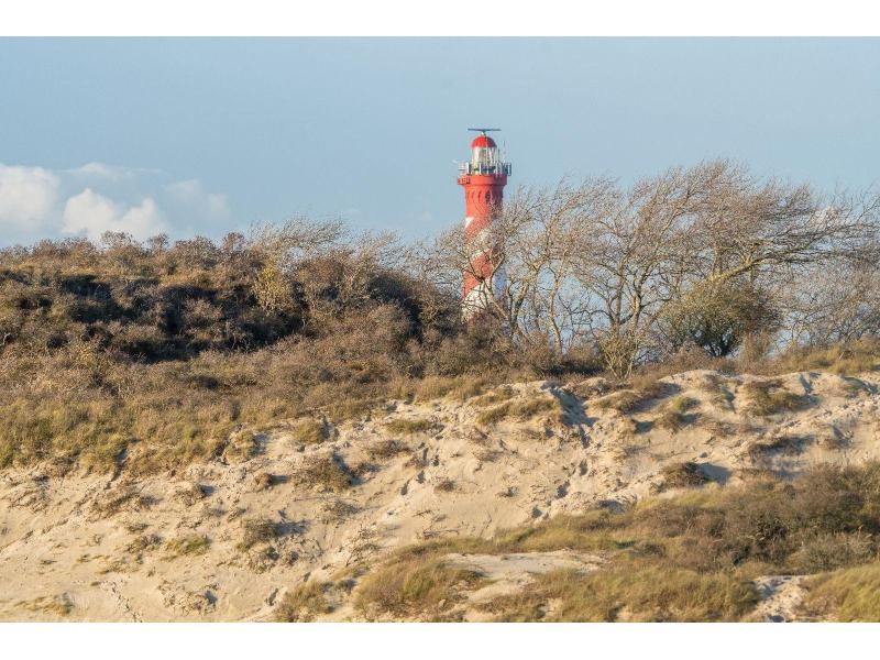 Westenschouwen, Zee - Image 22
