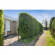 Renesse, de Sprong 18 afbeelding 26