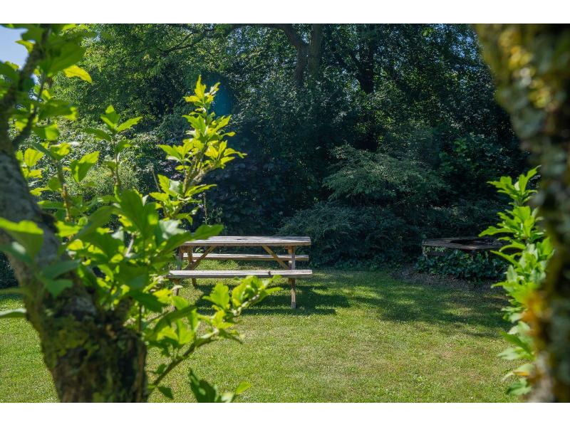 Burgh-Haamstede, Zeeduin 29 - Image 24