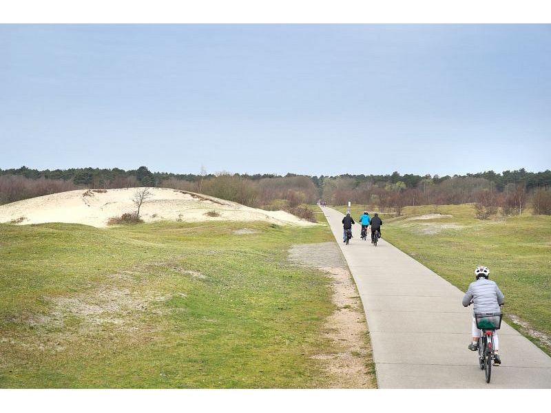 Burgh-Haamstede, Burghduin 1 - Image 28