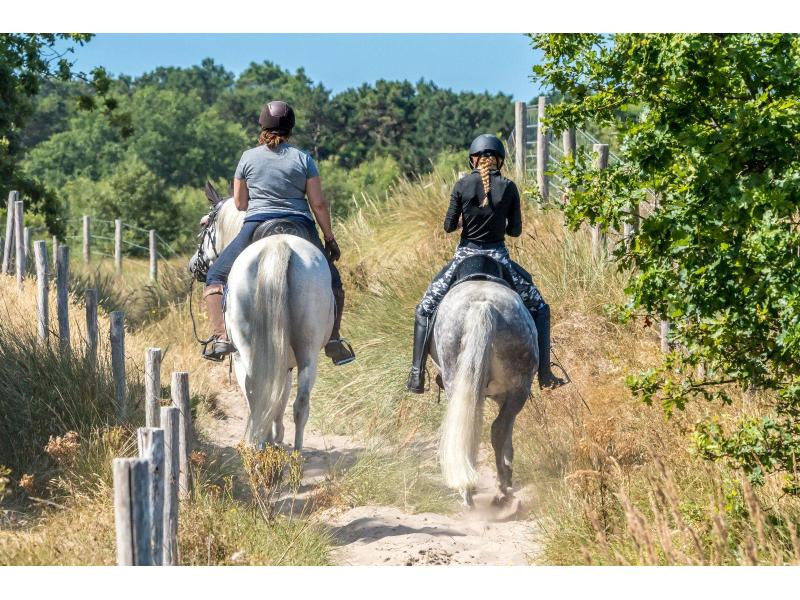 Burgh-Haamstede, Schouwse Duin 16 - Image 27