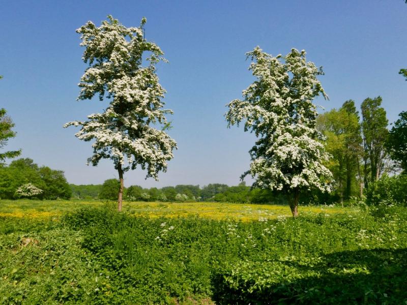Renesse, Oude Moolweg 23 - Image 30