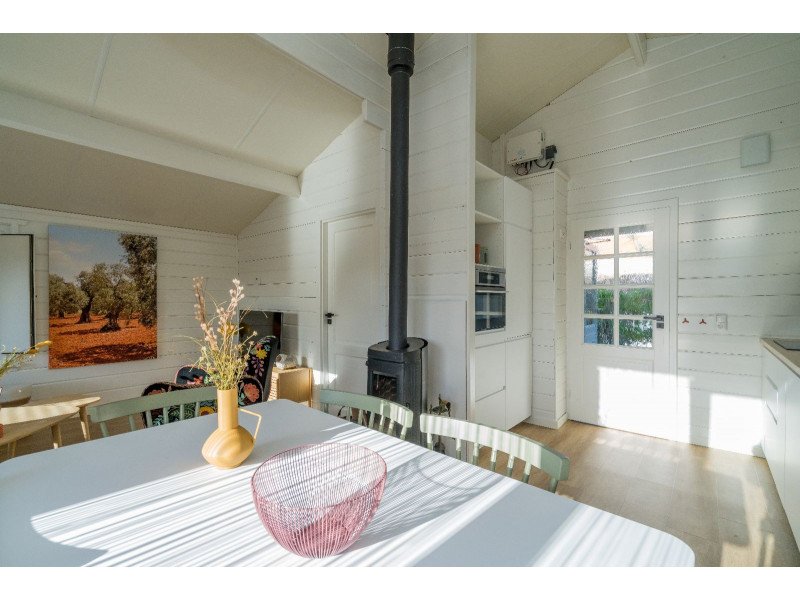 Renesse, Beachpark 17 - Image 12