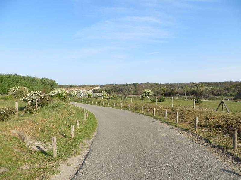 Renesse, 't Ongerepte 56 - Image 23
