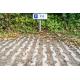 Renesse, Kleine Horizon 111 afbeelding 19