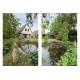 Burgh-Haamstede, Seringenlaan 4 afbeelding 27