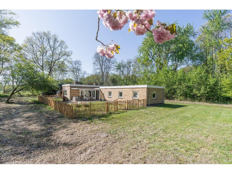 Renesse, De Bramenwei - Image 24