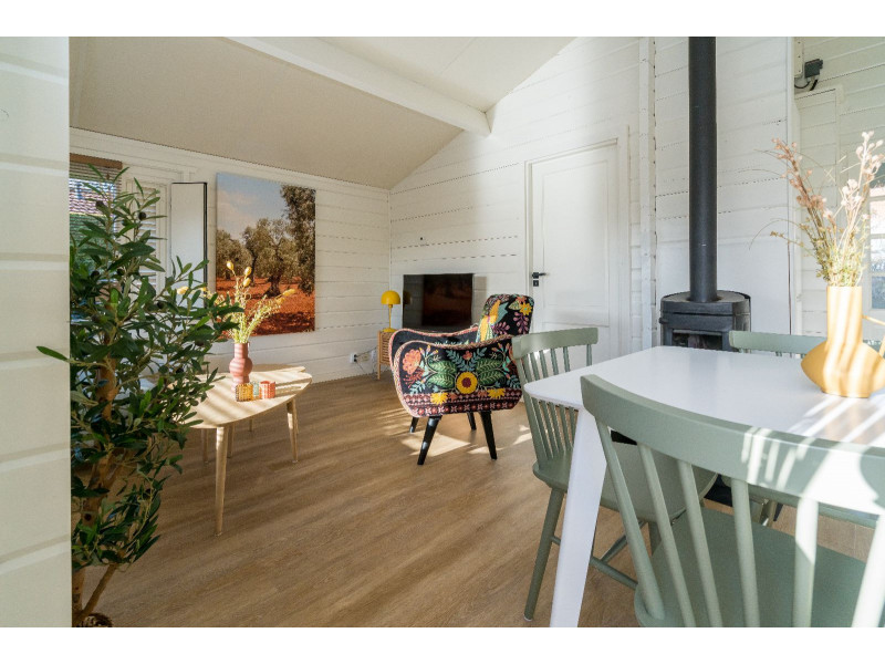 Renesse, Beachpark 17 - Image 8