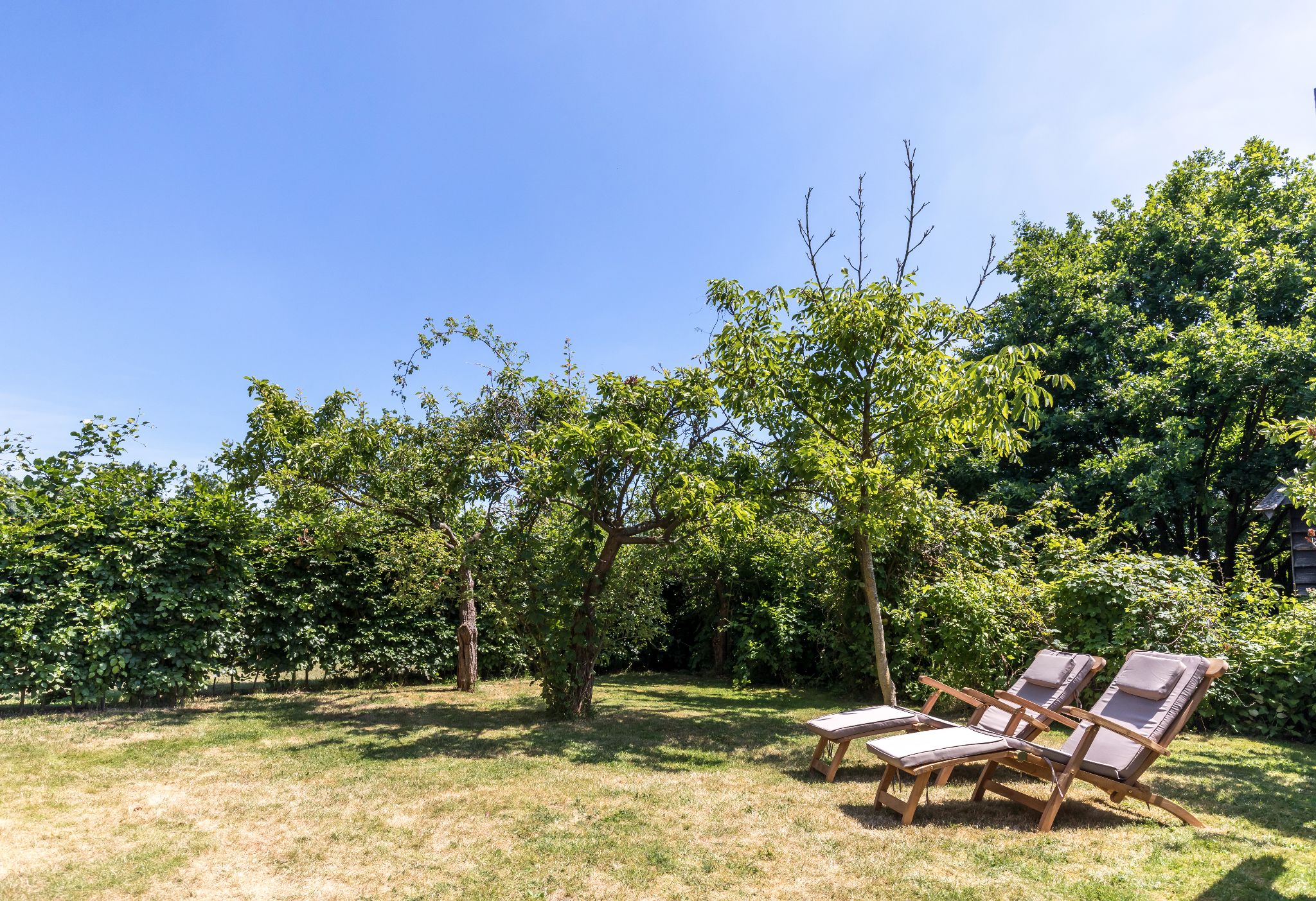 Burgh-Haamstede, Aan het Vroon - Image 13