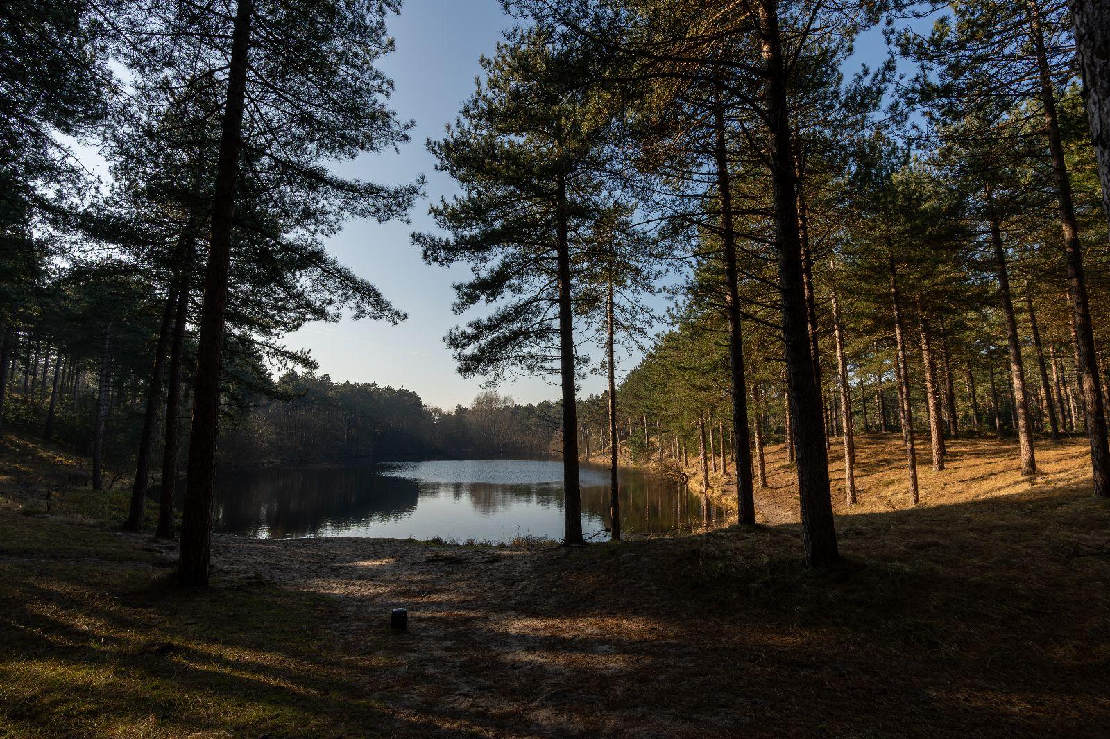 Westenschouwen, De Zonnehoek - Image 23