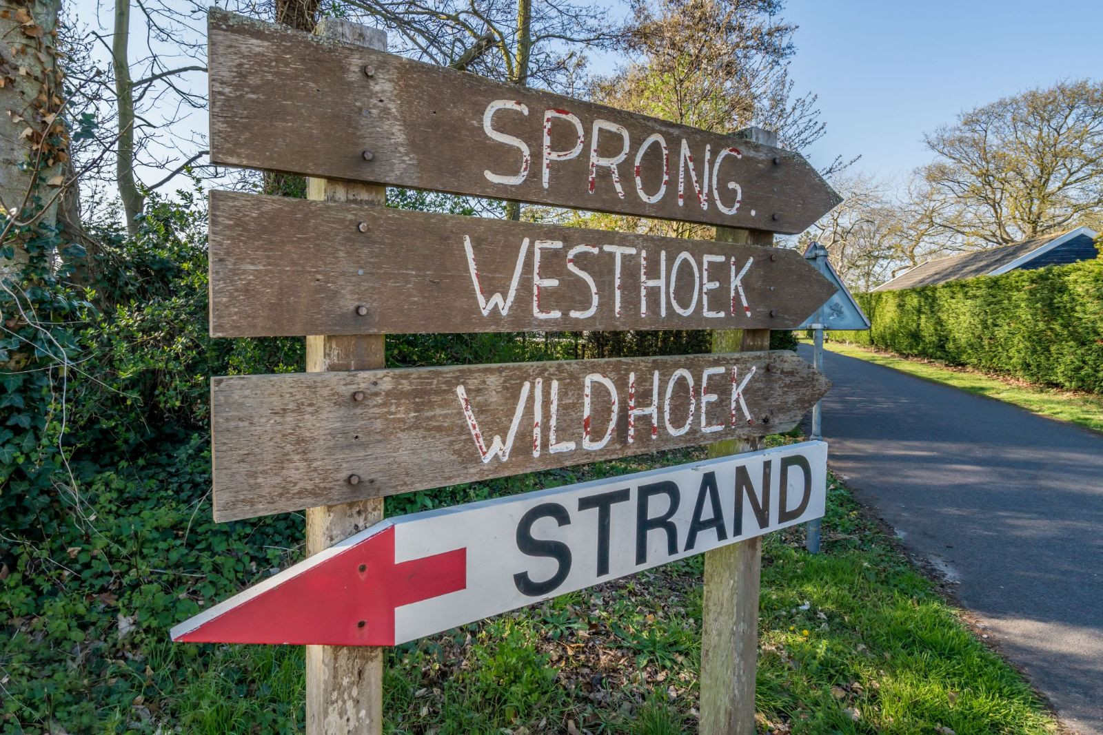 Renesse, Wildhoek 23 - Image 23