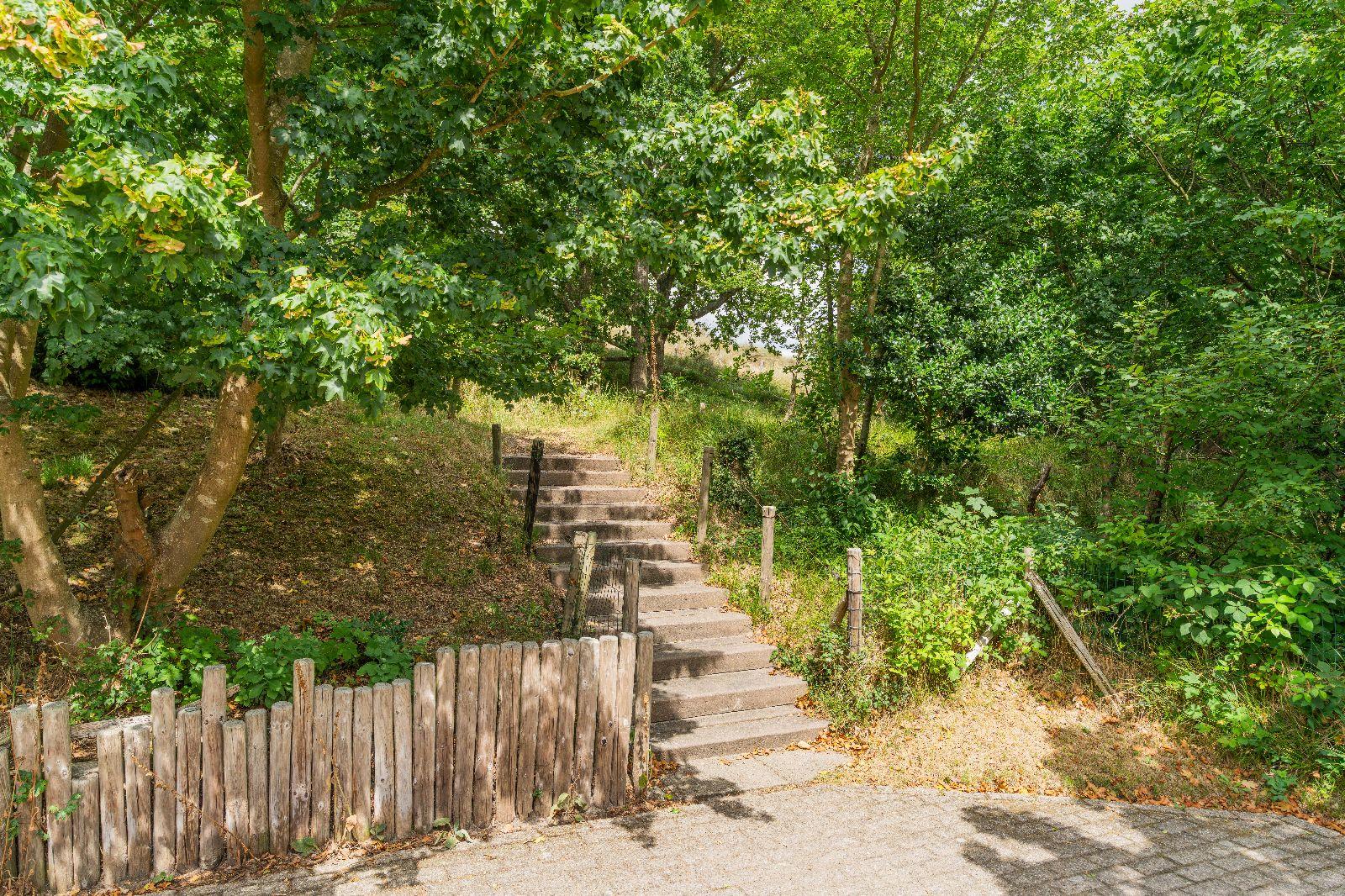 Burgh-Haamstede, Zeeduin 29 - Image 25