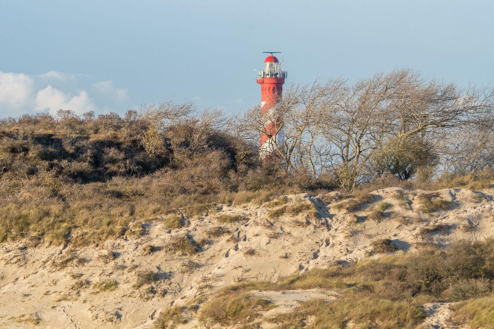 Westenschouwen, De Zonnehoek - Image 25