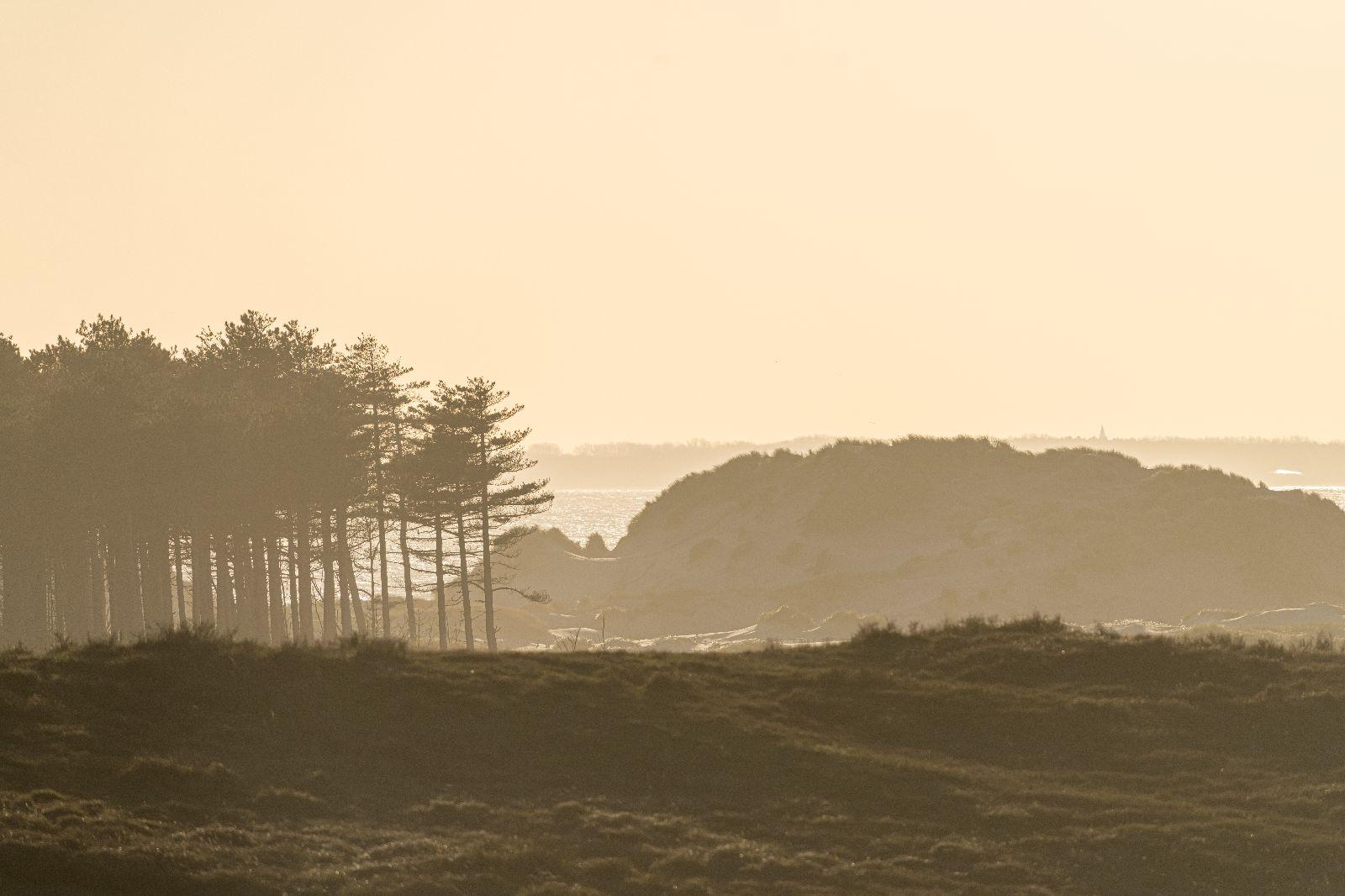 Westenschouwen, De Zonnehoek - Image 26