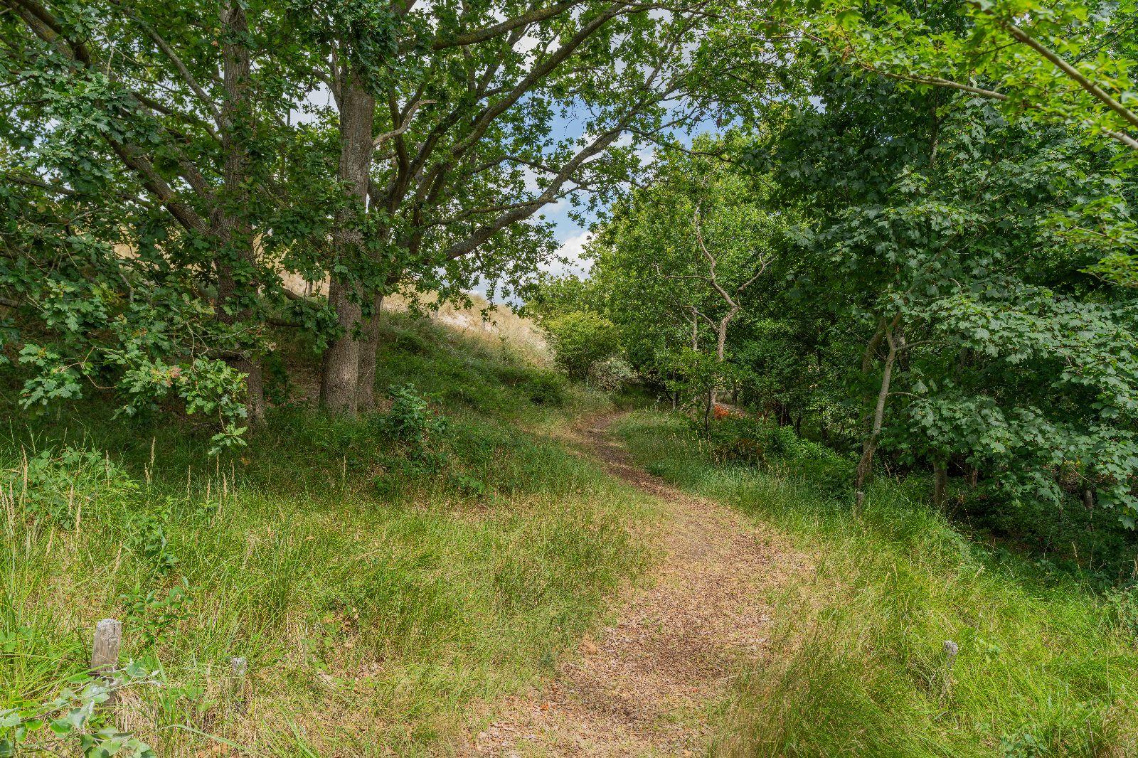 Burgh-Haamstede, Zeeduin 29 - Image 26