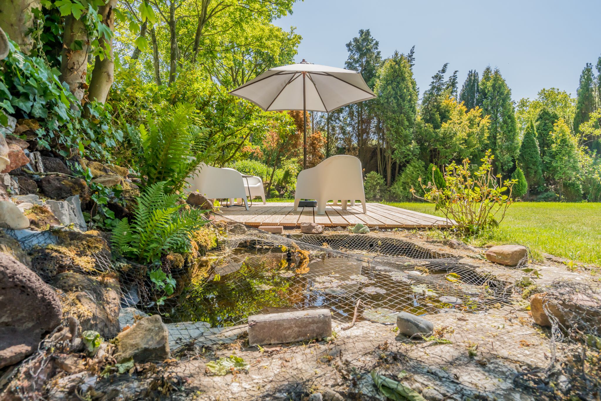 Renesse, De Patrijs - Image 28